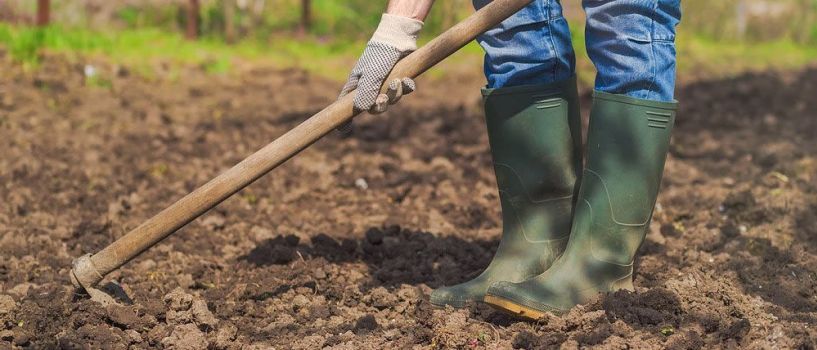 Εργάτες Γης: Έντονη ανησυχία στον αγροτικό κόσμο  για κατάργηση του εργόσημου και ασφάλιση στον ΕΦΚΑ με ένσημα -Ανάγκη διευκρινιστικών οδηγιών από το Υπουργείο