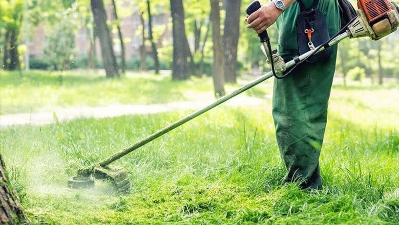 Πρόσληψη ενός εργάτη με δίμηνη σύμβαση, για την υπηρεσία πρασίνου στο Δήμο Νάουσας