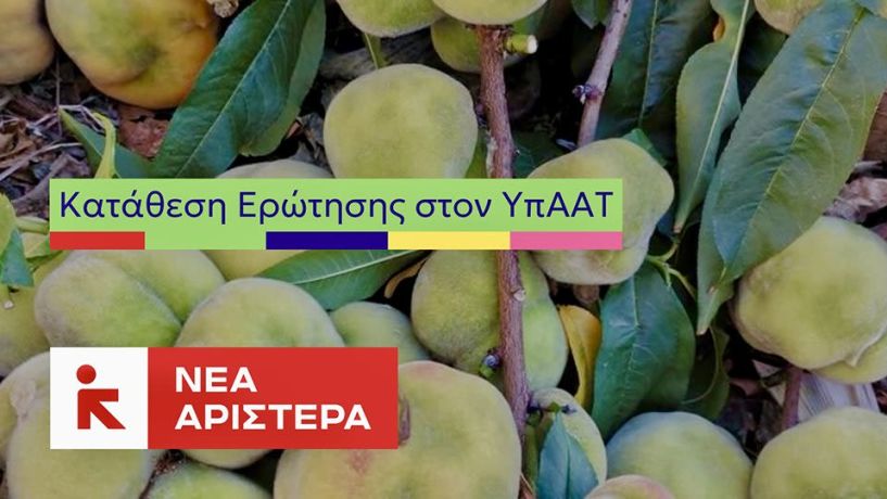ΝΕΑ ΑΡΙΣΤΕΡΑ:  Στη Βουλή η επικίνδυνη εξάπλωση ασθένειας στα ροδάκινα