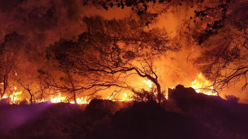 Απαγορεύονται οι μετακινήσεις σε δάση και άλση μέχρι τη Δευτέρα – Έως 10.000 ευρώ το πρόστιμο για εργασία που μπορεί να προκαλέσει πυρκαγιά