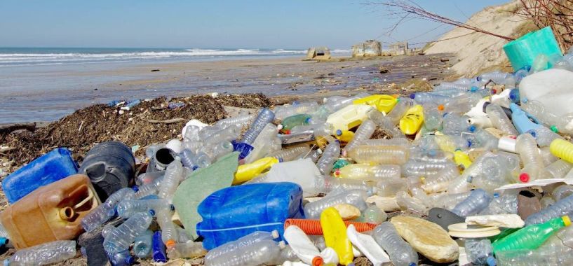 WWF:  Ενας μέσος άνθρωπος καταπίνει  περίπου 250 γραμμάρια πλαστικών σωματιδίων ετησίως!