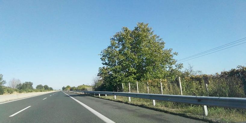 Προσωρινές κυκλοφοριακές ρυθμίσεις στο οδικό δίκτυο της  Π.Ε.Ο.  Θεσσαλονίκης – Κοζάνης κατά τη διάρκεια εργασιών κοπής χόρτων και επικίνδυνων δένδρων από Πέμπτη έως Σάββατο