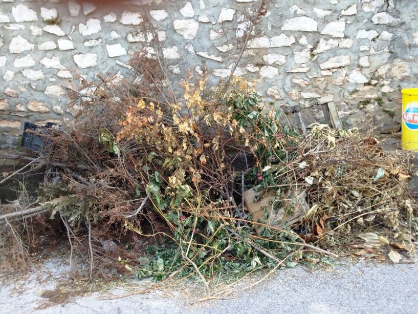 Επιστολή στο ΛΑΟ  Εν μέσω καύσωνα μετέφεραν ξερά κλαδιά στον κάδο του  Αγ.  Νικολάου  Κουμαριάς