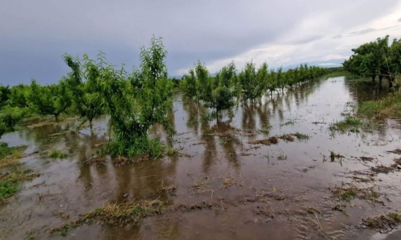 ΑΝΑΓΓΕΛΙΑ ΖΗΜΙΩΝ ΣΕ ΚΑΛΛΙΕΡΓΕΙΕΣ ΑΠΟ ΒΡΟΧΟΠΤΩΣΗ 12/06/2023 ΣΤΗΝ Δ/Τ.Κ. ΒΕΡΟΙΑΣ