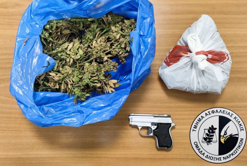 Συνελήφθη άνδρας σε περιοχή της Ημαθίας από αστυνομικούς του Τμήματος Ασφάλειας Κιλκίς για καλλιέργεια δενδρυλλίων κάνναβης