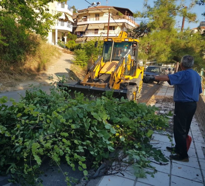 Καθαρισμός αυλών και αποψίλωση δέντρων για τη νέα σχολική χρονιά από τον Δήμο Βέροιας