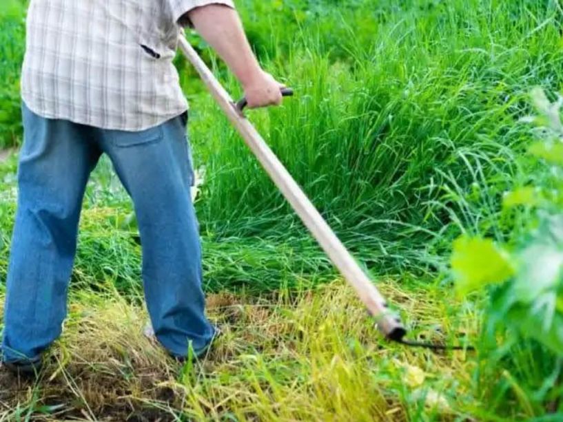 Δήμος Αλεξάνδρειας: Καθαρισμός οικοπεδικών και λοιπών ακάλυπτων χώρων προς αποφυγή εκδήλωσης πυρκαγιών