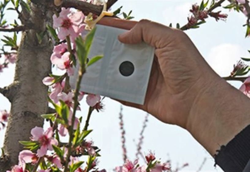   Με προϋπολογισμό 60 εκατ. ευρώ ξεκινά την εφαρμογή του το πρόγραμμα «Κομφούζιο» 