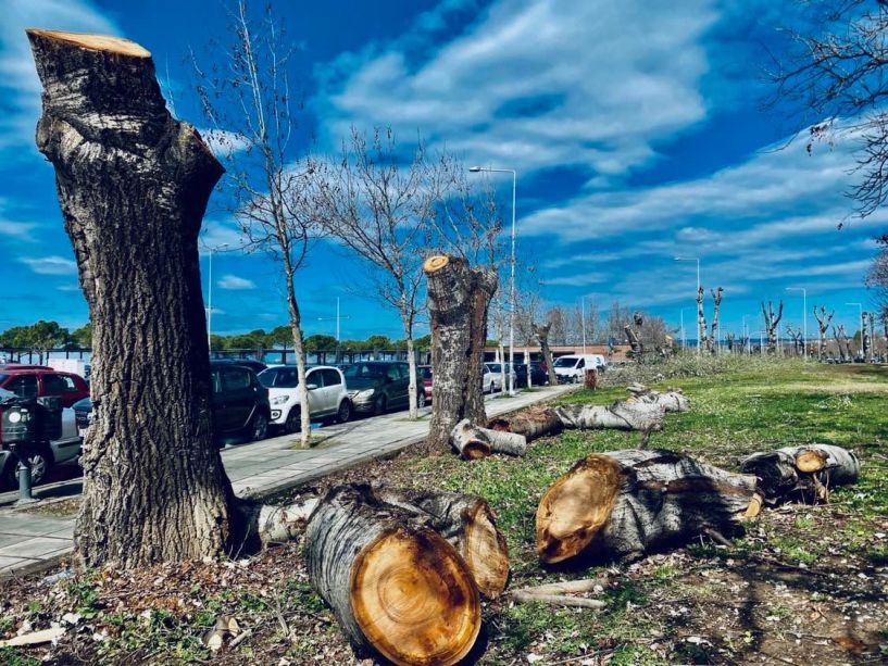 Κυκλοφοριακές ρυθμίσεις στο δρόμο Βέροιας - Καστανιάς λόγω κοπής χόρτων και επικίνδυνων δένδρων