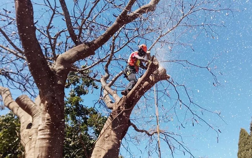 Προσωρινές κυκλοφοριακές ρυθμίσεις στο Επαρχιακό οδικό δίκτυο της Π.Ε. Ημαθίας