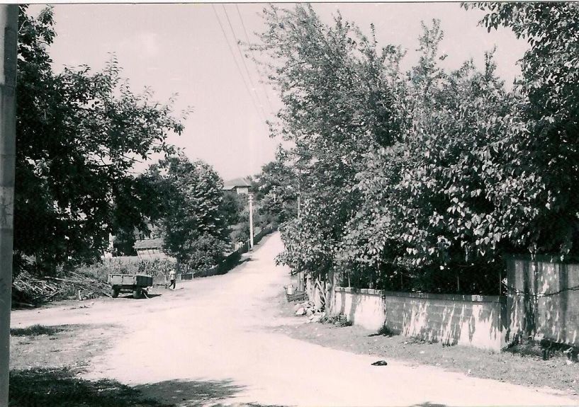 «ΕΝΑ ΤΑΞΙΔΙ ΣΤΗΝ ΠΡΟΓΟΝΙΚΗ ΓΗ ΤΟΥ ΑΤΑΠΑΖΑΡ» Μέρος 5ο