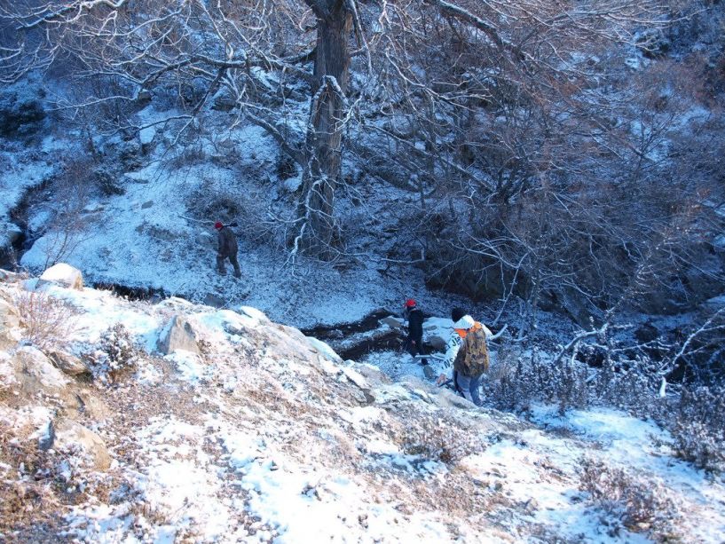 Απαγορεύεται το κυνήγι   σε περίοδο χιονοπτώσεων