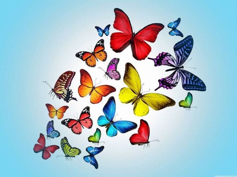 Ανακοίνωση Συμπαράστασης προς το Σωματείο Εργαζομένων ΕΚΑΒ Ημαθίας και τους Διασώστες όλης της χώρας