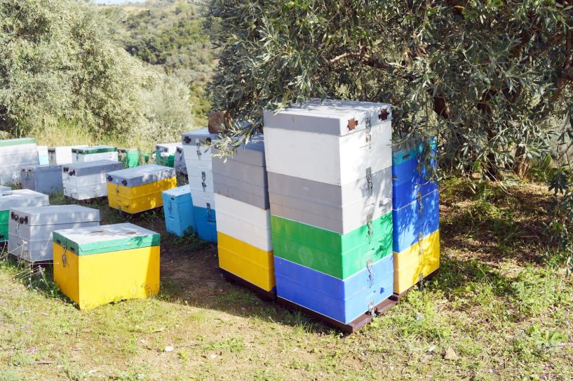 Μήνυμα προς όσους έχουν Μελίσσια