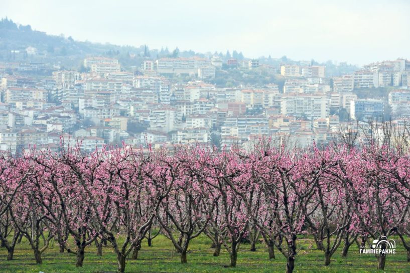 Την Τετάρτη 16 Απριλίου Γενική Συνέλευση & Εκλογές του Τουριστικού Ομίλου Βέροιας