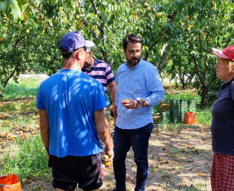 Τάσος Μπαρτζώκας προς ΕΛΓΑ και ΥΠΑΑΤ: Άμεσα έλεγχοι και αποζημιώσεις για τις ζημιές από βροχοπτώσεις και χαλαζόπτωση (ΦΩΤΟΣ)