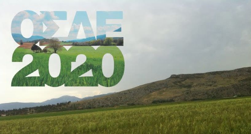 Με δήλωση ΟΣΔΕ του 2020, τελικά, η μετάκληση των αλλοδαπών εργατών γης