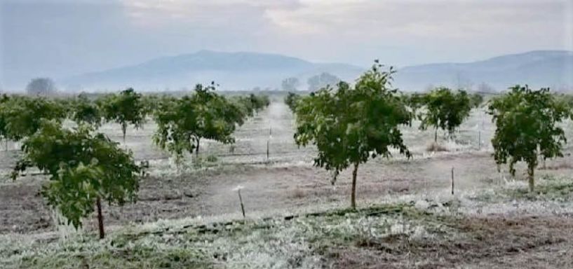 Εκτιμήσεις ζημίας από βροχόπτωση  στα Λευκάδια