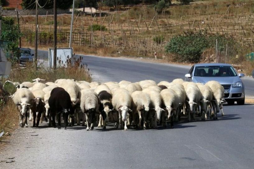 Tι είχαν τα έρμα…