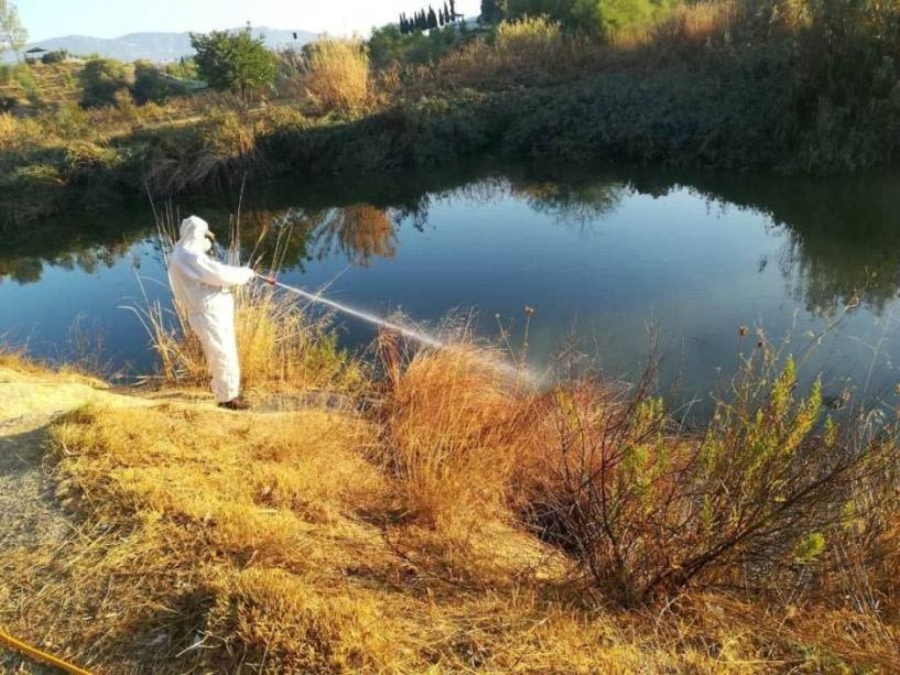 Διενέργεια έκτακτων ψεκασμών για την καταπολέμηση κουνουπιών στις αγροτικές περιοχές ρυζοκαλλιεργειών του κάμπου Θεσσαλονίκης και Ημαθίας