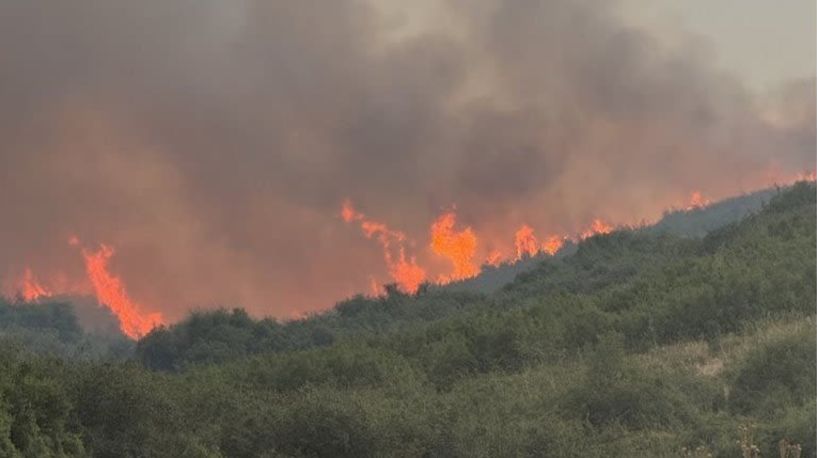 Πάνω από 454.000 στρέμματα κάηκαν στην χώρα μας, από την αρχή της χρονιάς