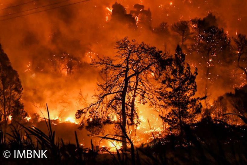 Οικονομική ενίσχυση της Μητρόπολης Βέροιας ύψους 10.700 ευρώ προς τους πυρόπληκτους