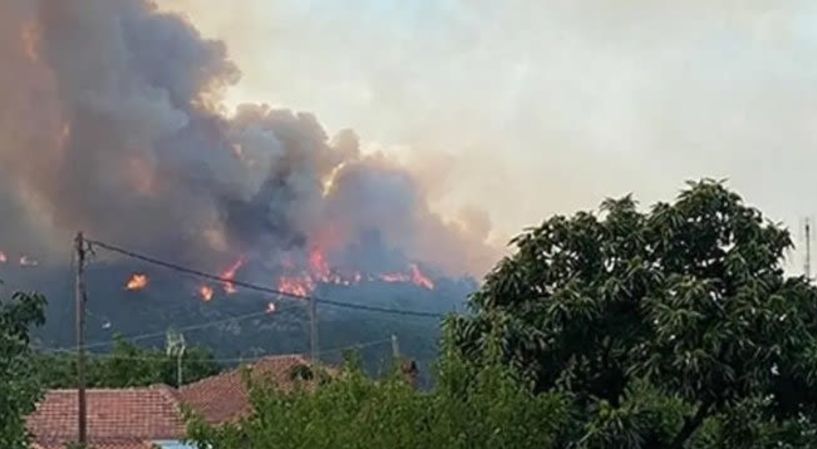 Νέα παράταση  για τον κανονισμό  Πυροπροστασίας  Ακινήτων  εντός ή πλησίον  δασικών εκτάσεων