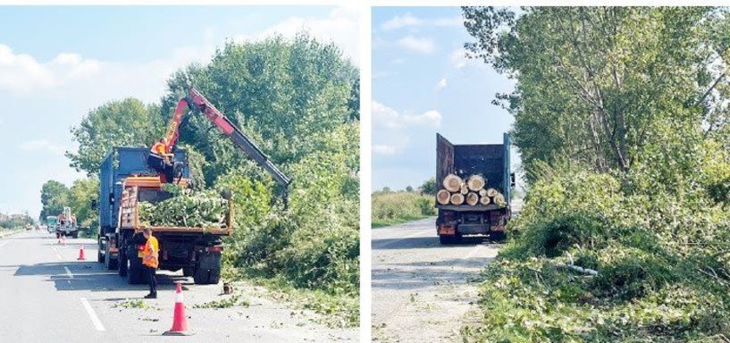 Καθαρισμός πρανών και ελεγχόμενο κλάδεμα στο δρόμο Βέροιας-Αλεξάνδρειας