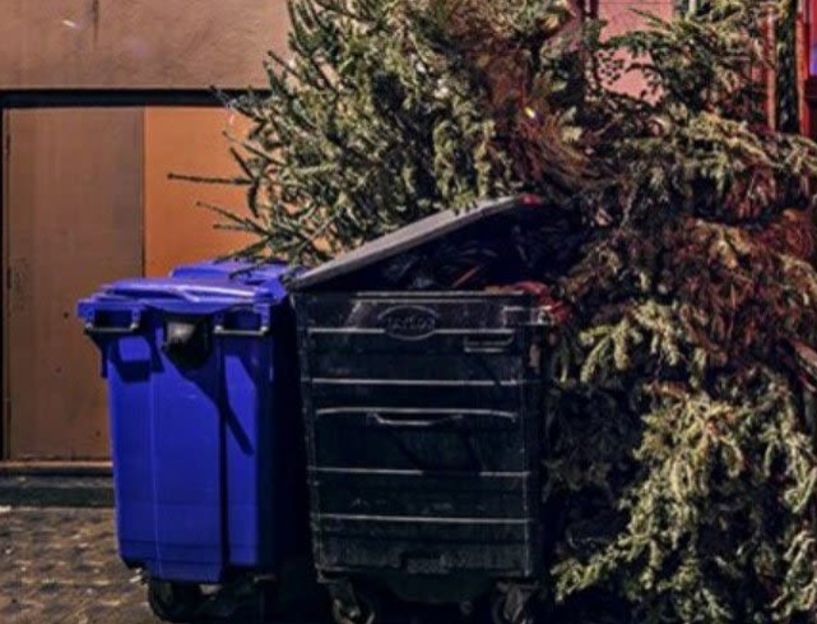 Δήμος Βέροιας για τα φυσικά χριστουγεννιάτικα δέντρα: Μην τα πετάτε δίπλα στους κάδους, επικοινωνήστε με την υπηρεσία καθαριότητας
