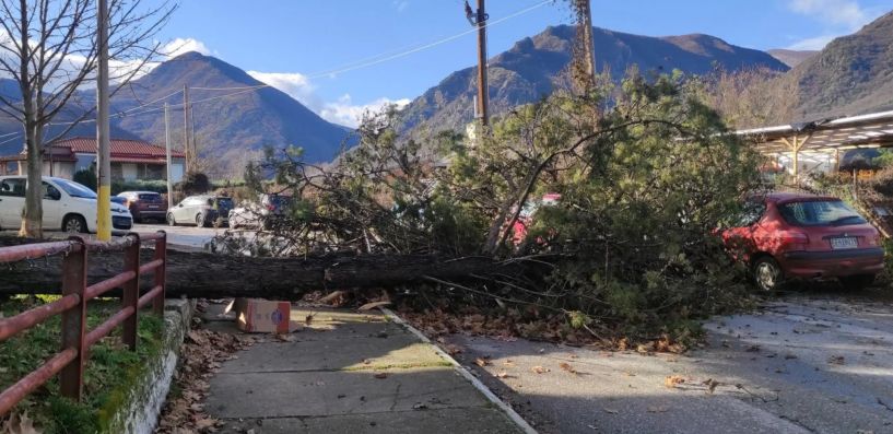 Θυελλώδεις άνεμοι «γκρέμισαν» δέντρα στη Νάουσα