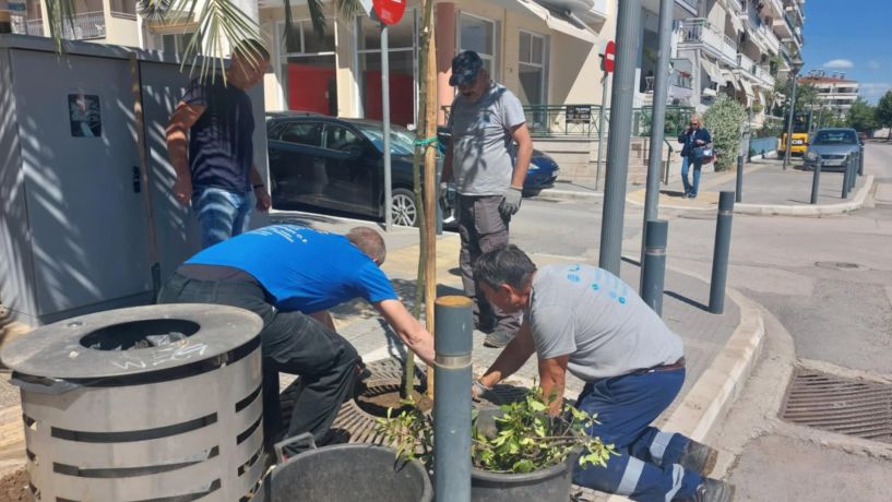 Νέα δέντρα φυτεύονται στην οδό Ανοίξεως
