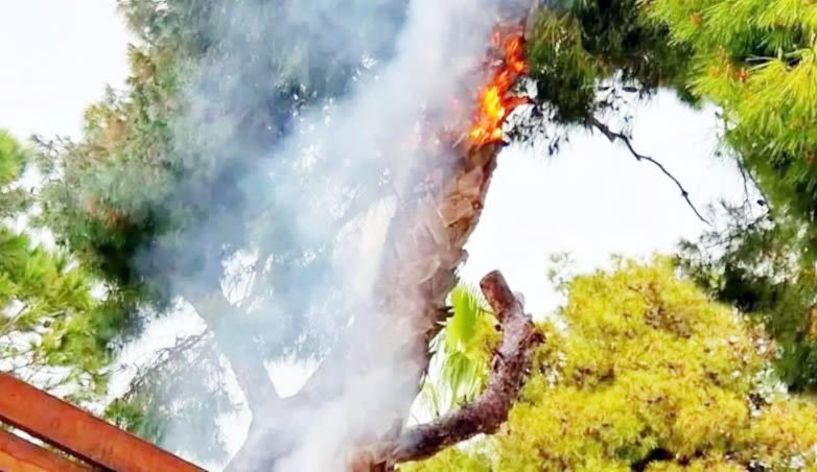 Οι πυροσβέστες πρόλαβαν φωτιά από κεραυνό στο Άνω Σέλι   