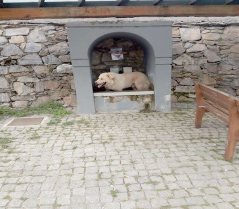 Και στο Σέλι έχουμε ΣΠΑ !!!!!