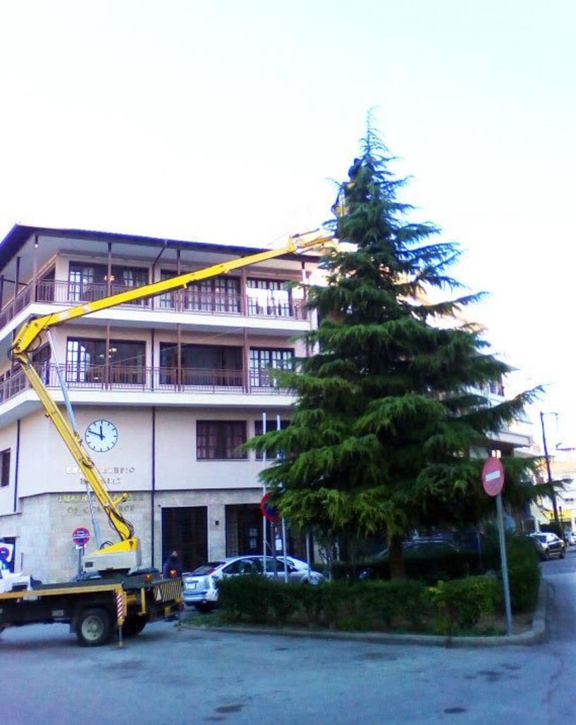 Στολίζονται τα δέντρα της πόλης για τα Χριστούγεννα