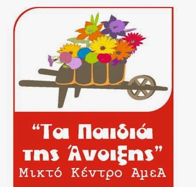 Εκλογοαπολογιστική  Γενική Συνέλευση του Συλλόγου Α.Μ.Ε.Α. Ν. ΗΜΑΘΙΑΣ