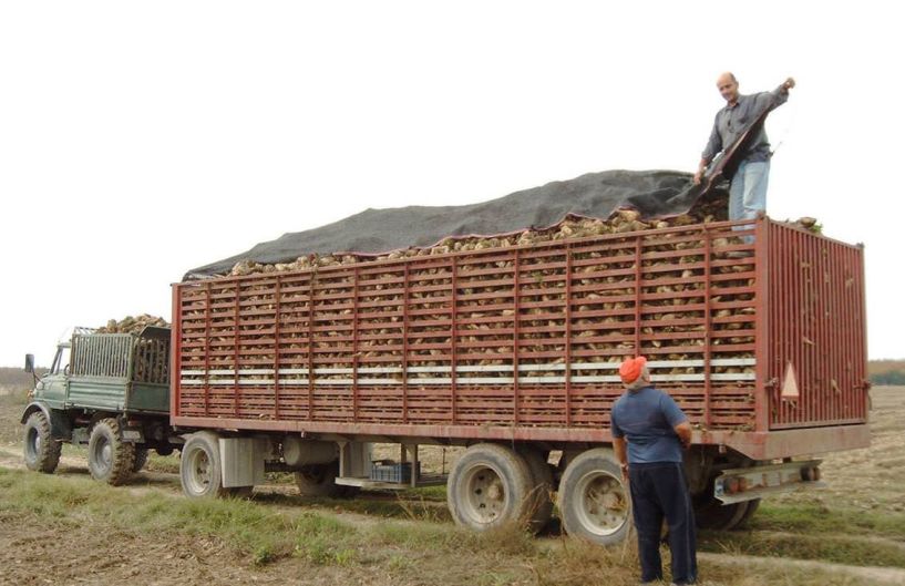 10,2 εκατ. ευρώ οφείλει η ΕΒΖ για την καμπάνια του 2017 - Θα πληρωθούν πριν τις γιορτές οι τευτλοπαραγωγοί;