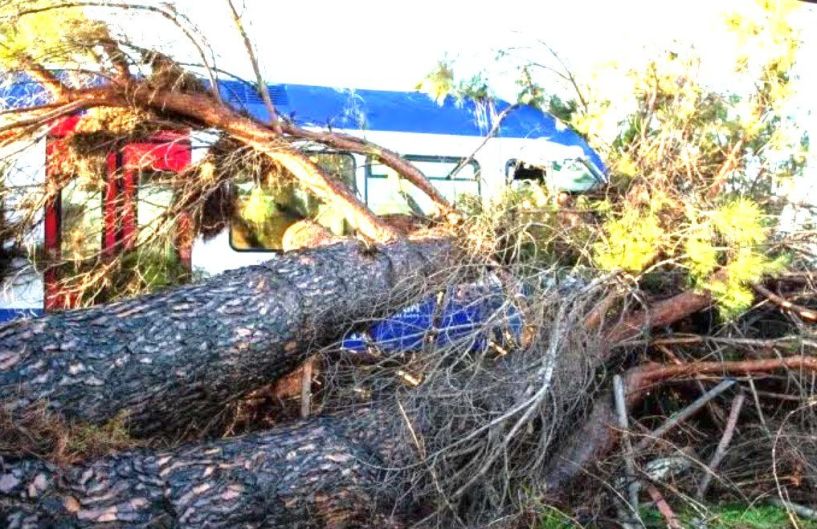 Δέντρο ακινητοποίησε τρένο κοντά στη Βέροια
