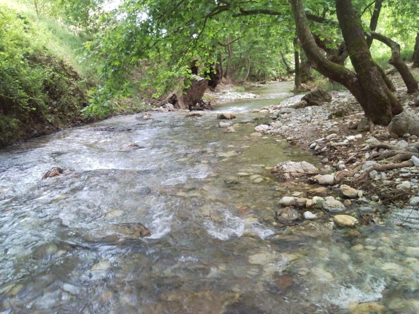 Απαγορεύεται το ψάρεμα στους ποταμούς Τριπόταμο και Αραπίτσα