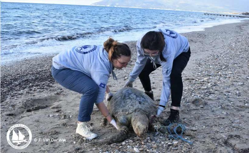 Ινστιτούτο Θαλ. Προστασίας για τα νεκρά σπάνια είδη: 