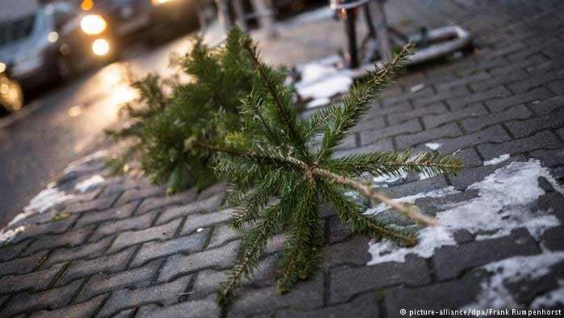 Ανακύκλωση φυσικών χριστουγεννιάτικων δέντρων από το Δήμο Βέροιας με δώρο pellet ή λίπασμα - Το σημείο συλλογής