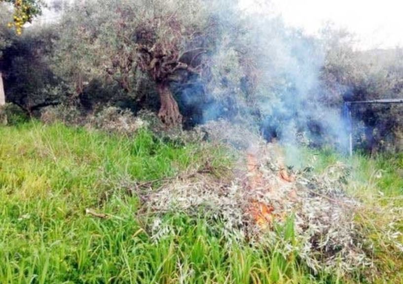 Πυκνώνουν οι φωτιές σε αγροτικές καλλιέργειες στην Ημαθία-Πρόστιμα από την πυροσβεστική