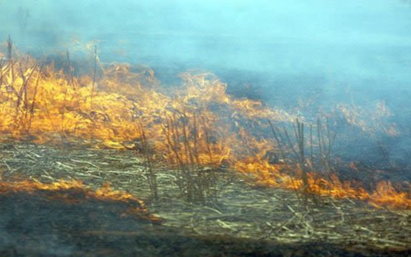 Εκδήλωση πυρκαγιών   σε αγροτικές εκτάσεις   και τάφρους   του Δήμου Αλεξάνδρειας