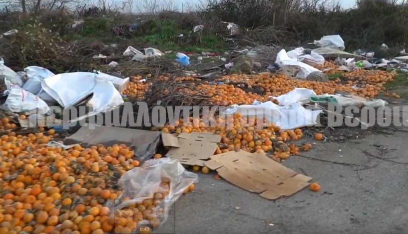 Χωματερή κοντά στο Διαβατό (Βίντεο) - Περιβαλλοντική Ομάδα Βέροιας: 