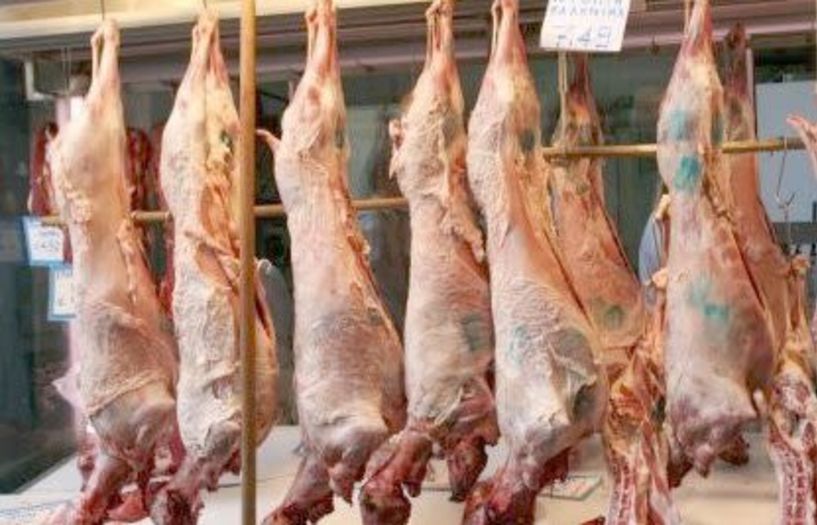 Παράνομες εισαγωγές από εταιρεία στον Σχοινά Αλεξάνδρειας