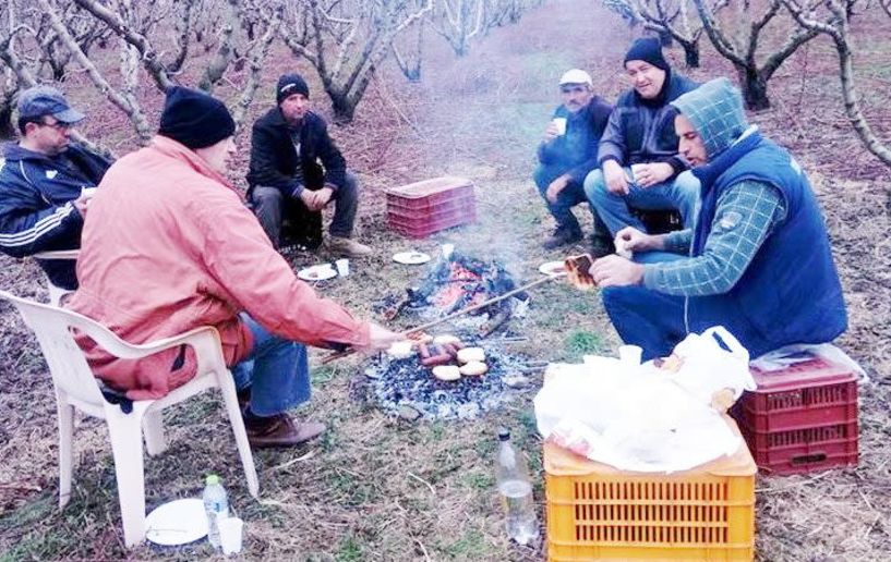 Κλάδεμα...  υπό του μηδενός