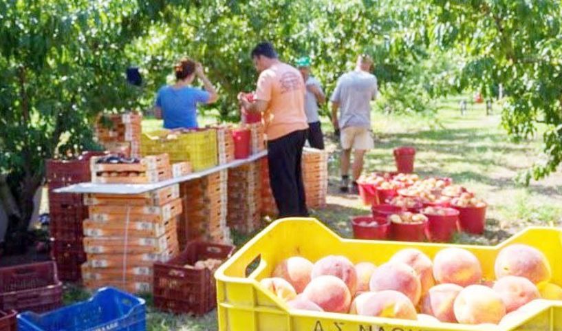 Στο υπουργείο όλοι και επί παντός
