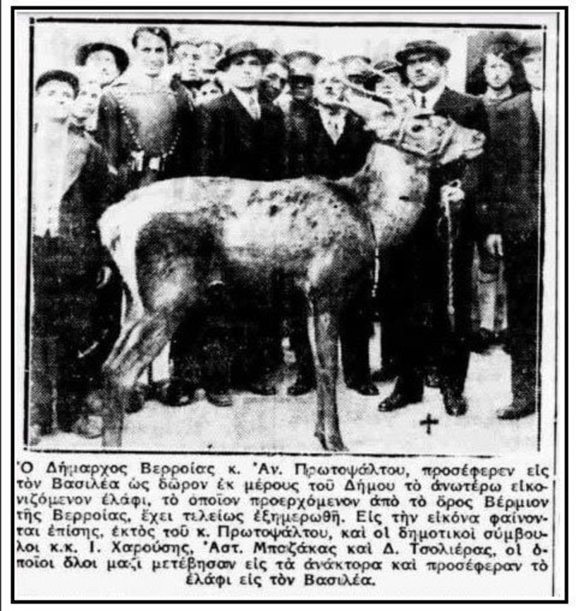 1935: Όταν ο Δήμαρχος Βέροιας δώριζε στον βασιλιά ένα… ελάφι