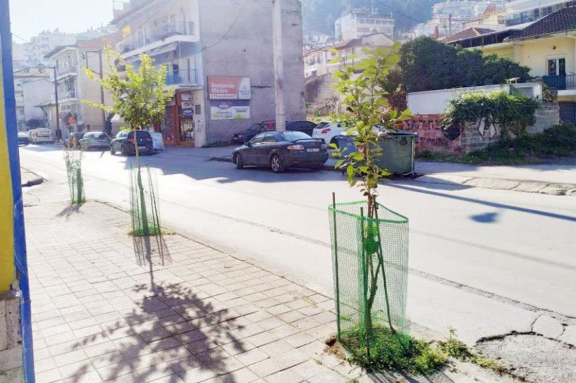 Όταν η ιδιωτική πρωτοβουλία συμπληρώνει την Υπηρεσία Πρασίνου του δήμου Βέροιας