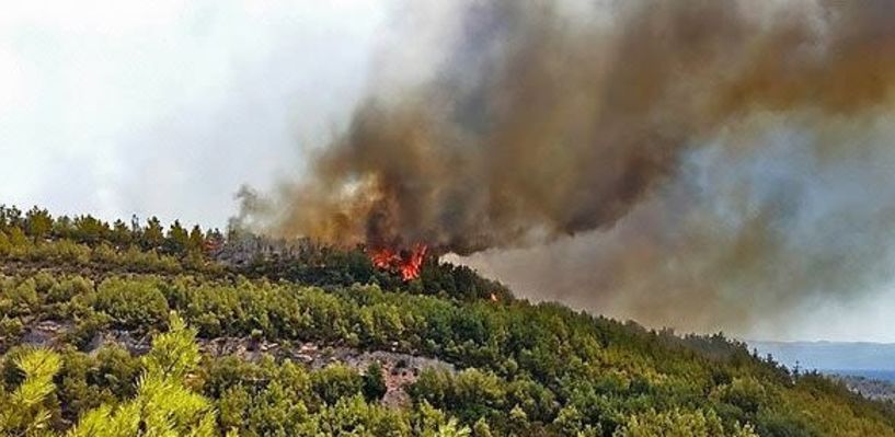 19 στρέμματα δασικής έκτασης κάηκαν από πυρκαγιά στα «Καβάκια»   Συκιάς και την «Κοπατσίνα» Δασκίου