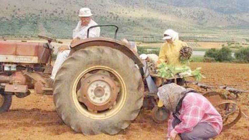 Επιστολή Γκυρίνη προς τον Υπουργό Αγροτικής Ανάπτυξης για την ενίσχυση των αγροτών που επλήγησαν από την πανδημία